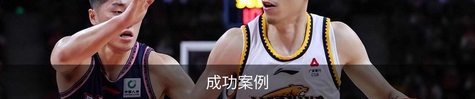 成功案例
